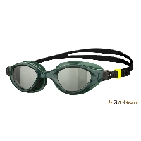 Очки для плавания ARENA CRUISER EVO 002509 565