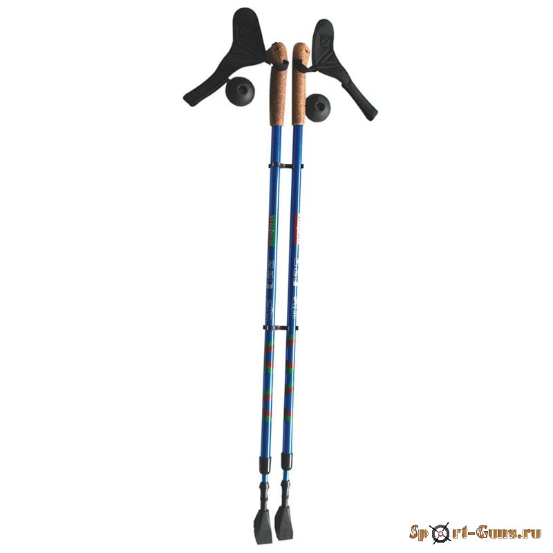 Палки для скандинавской ходьбы Ergo Nordic, 110-140 см, синий